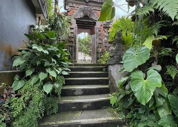 招待所 Annayu House 3*